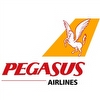 pegasus